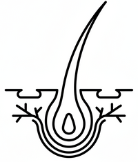 Dauerhafte Haarentfernung